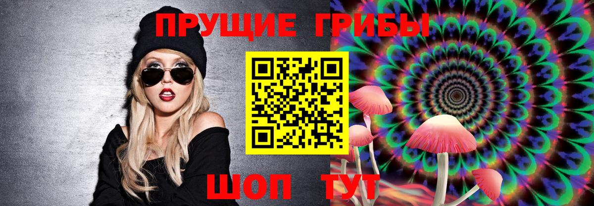 Галлюциногенные грибы Cubensis Сергиев Посад